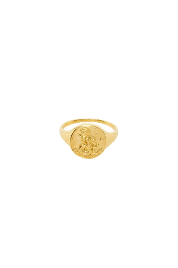 Gold Capricorn Stargazer Zodiac Ring Fashion