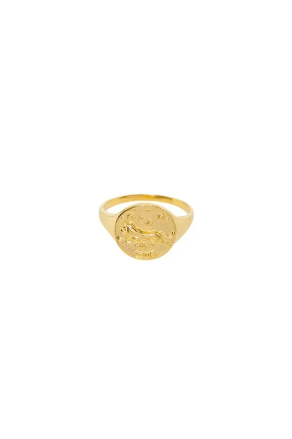 Gold Leo Stargazer Zodiac Ring New
