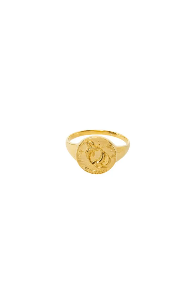 pisces_stargazer_zodiac_r_1-1.webp Gold Pisces Stargazer Zodiac Ring Cheap