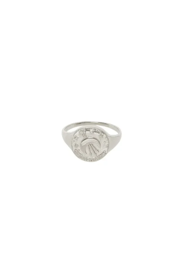 Sterling Silver Sagittarius Stargazer Zodiac Ring Store